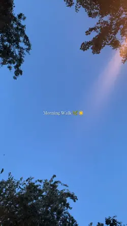 morninh walk