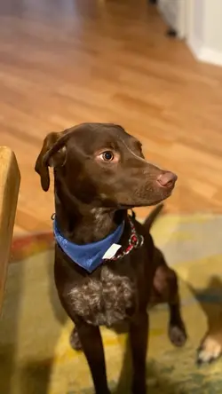 KIKO