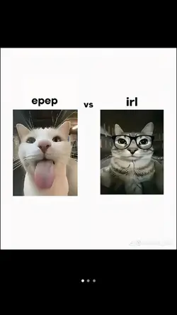 di epep vs di irl