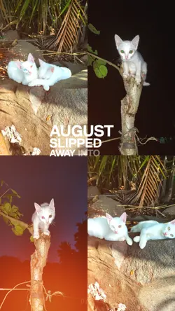 august