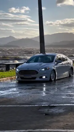 FUSION  LOWERED 