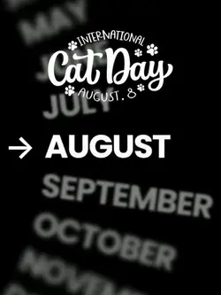 International CatDay