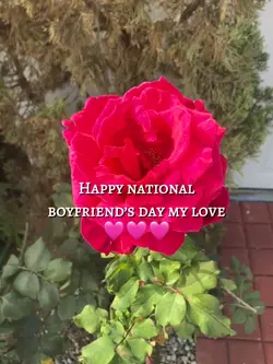 Boyfriend day!!