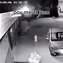 me at 3am meme