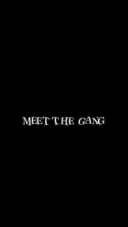 Meet the team 