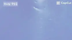 유형