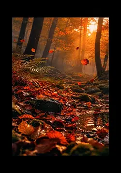 Autumn Colours 