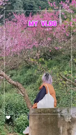 48.my vlog