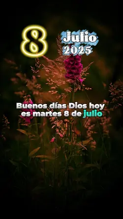 Martes 8 de julio