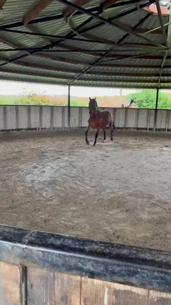 <3 