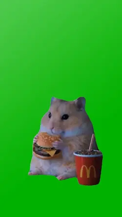 CRAVING HAMSTER