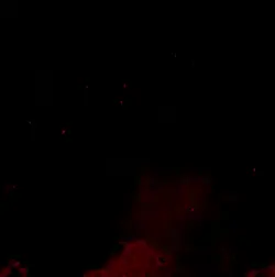 iamblackkiller 