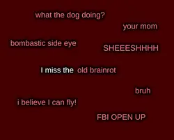 old brainrot 🔛🔝