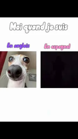 Anglais 🥔