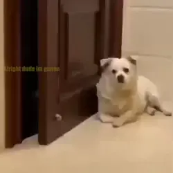 abort mission