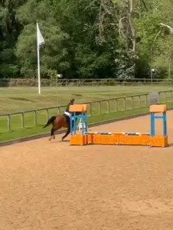 This oxer was so fun