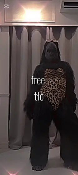 free tło