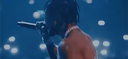APEX