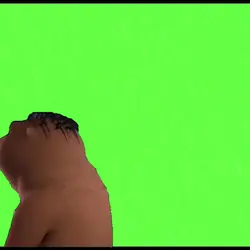 Chinese Beaver Meme