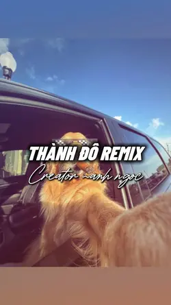 Thành Đô Remix