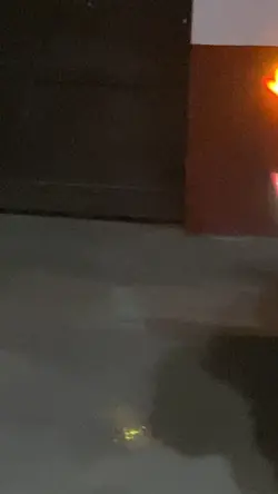 Transition+Slowmo