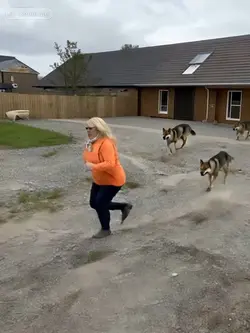Run