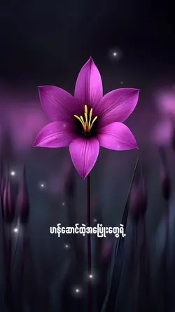 1photo