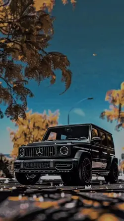 محمدین
