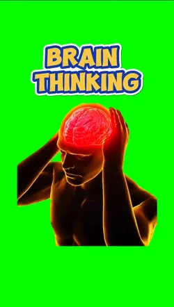 BRAIN THINKING