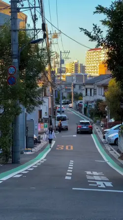 Aesthetic