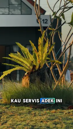 JADI MEKANIK 