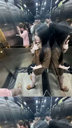 ฟีด