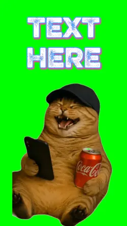 Cat laughing