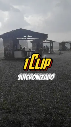 Sincronizado