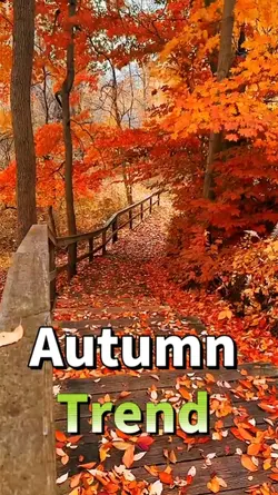 Autumn Trend 
