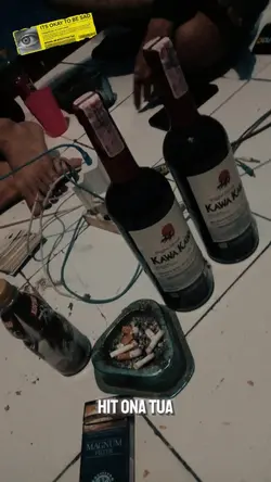 Tquila criimson