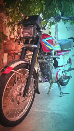 Bike lovers tamp 