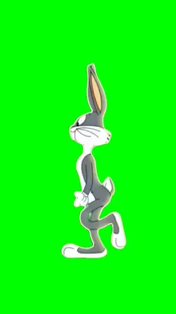 Bunny chillin