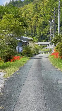 赤く染まる