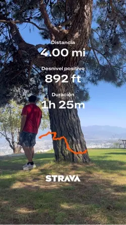 Strava record
