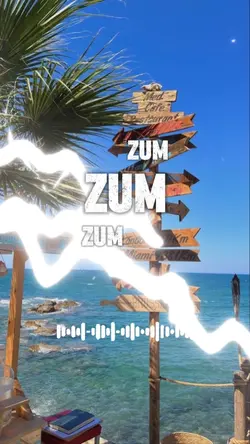zumzum 