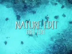 nature trend