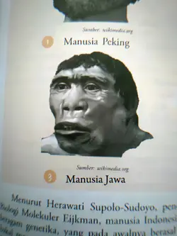 trend manusia jawa