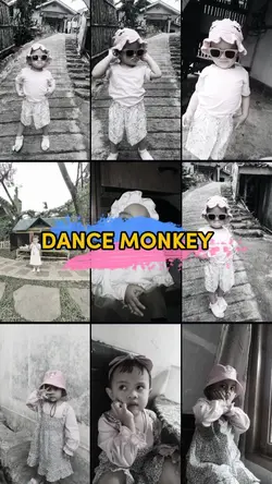 dance monkey