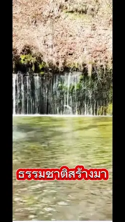 เสียงไม่มีลิขสิทธิ์