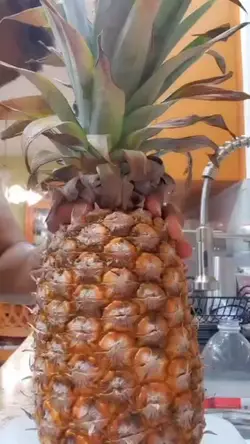 Pineapple 