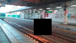 嫌いな人の顔入れよう！