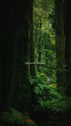 nature vibes