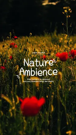 nature ambience