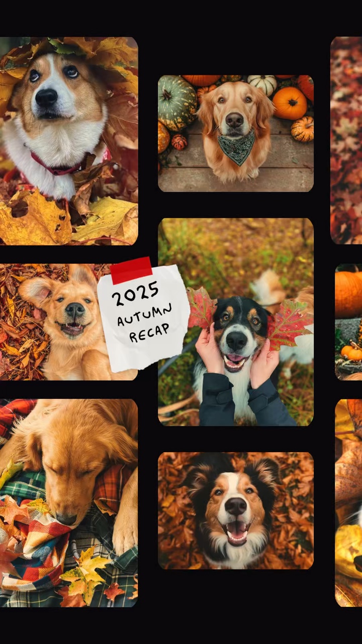 capcut template cover